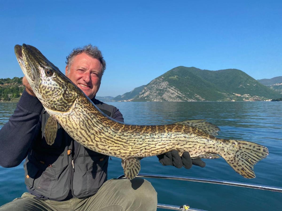 In Riva Al Lago Di Iseo Dependance Primo Piano Marone Luaran gambar